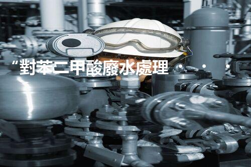 “對苯二甲酸廢水處理，綠色創(chuàng)新引領環(huán)保新篇章”